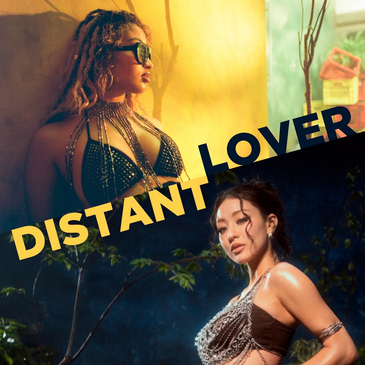 JIHYO, Shenseea, Fandom - Distant Lover